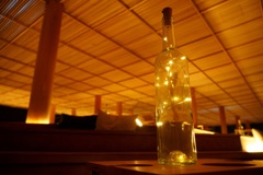 bottle