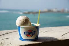BLUE SEAL