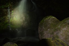 お気に入りの一枚