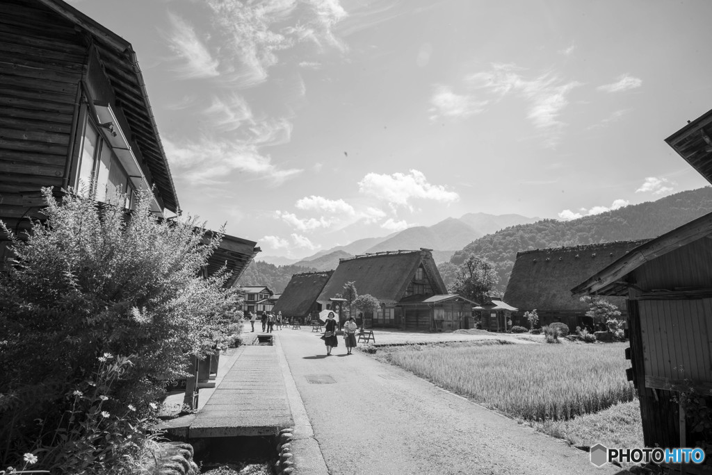 20180714-L1001990