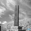 20180719-L1002112-2