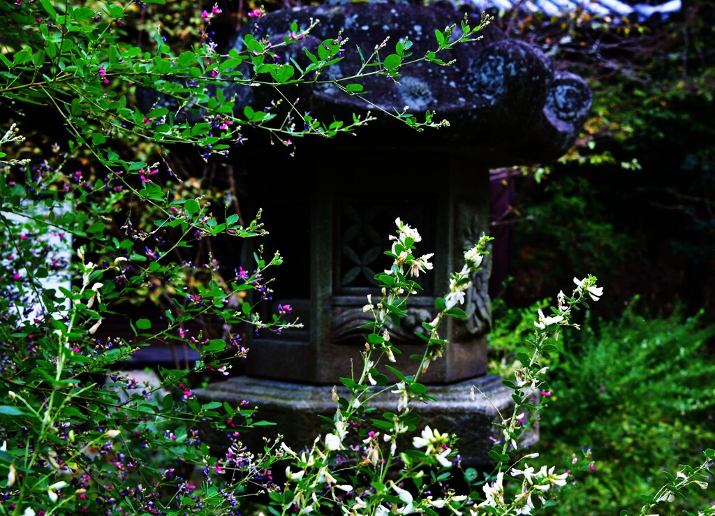 花の寺