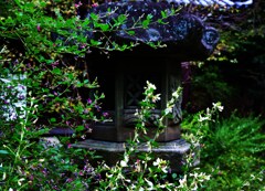 花の寺