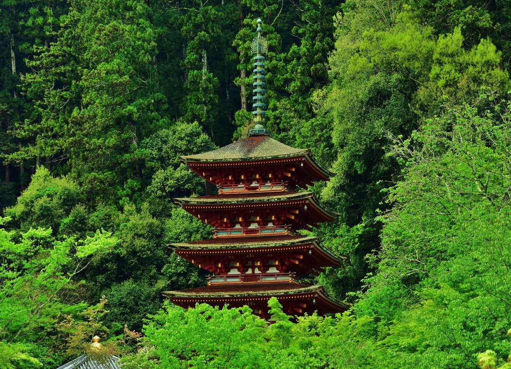 立美