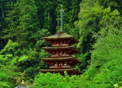 立美
