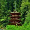 立美