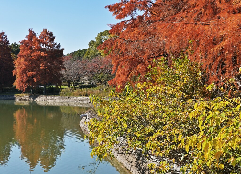 古墳のある公園
