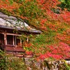 紅社