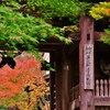 季節を見守る
