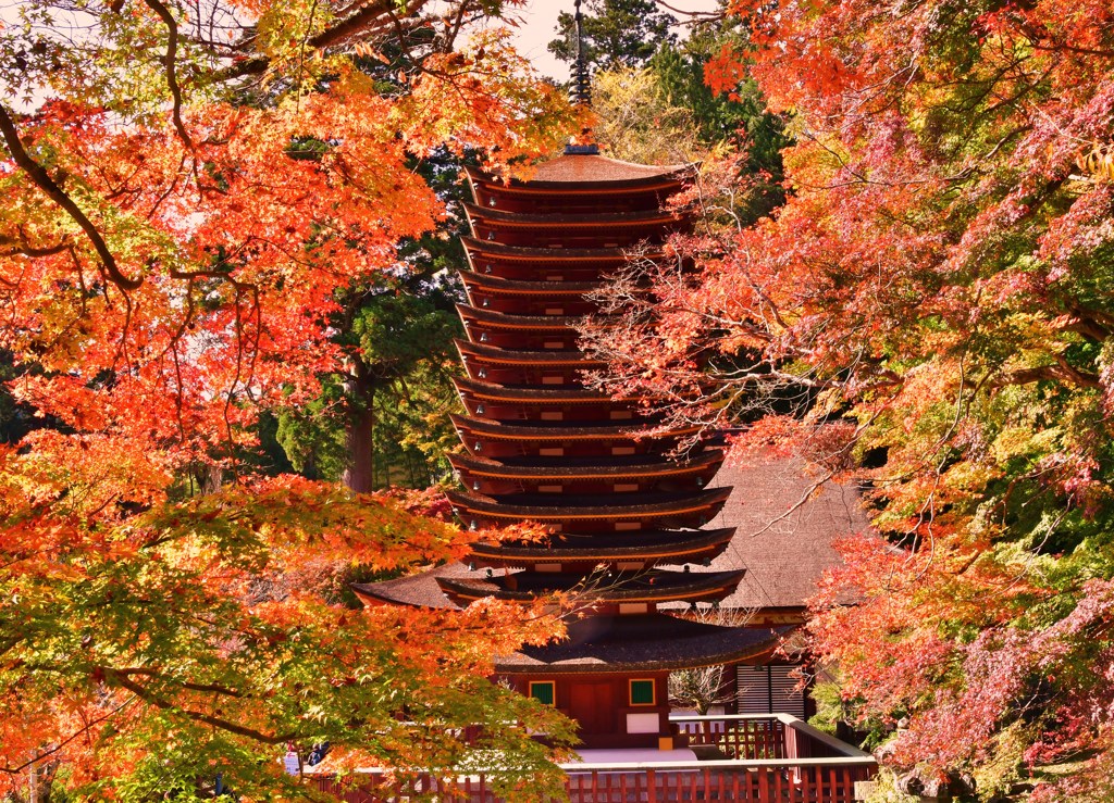 紅舞