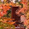 紅舞