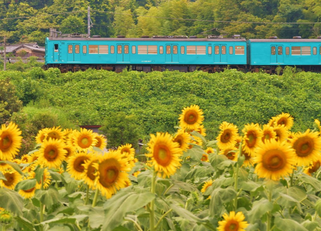 列車