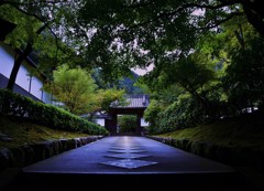静道