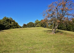 古墳のある公園