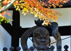 山門の秋