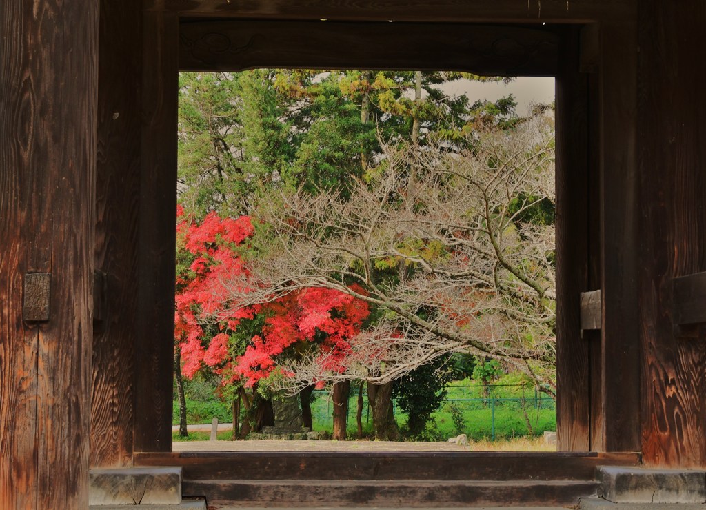 山門