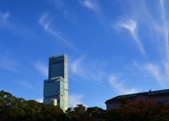 秋雲