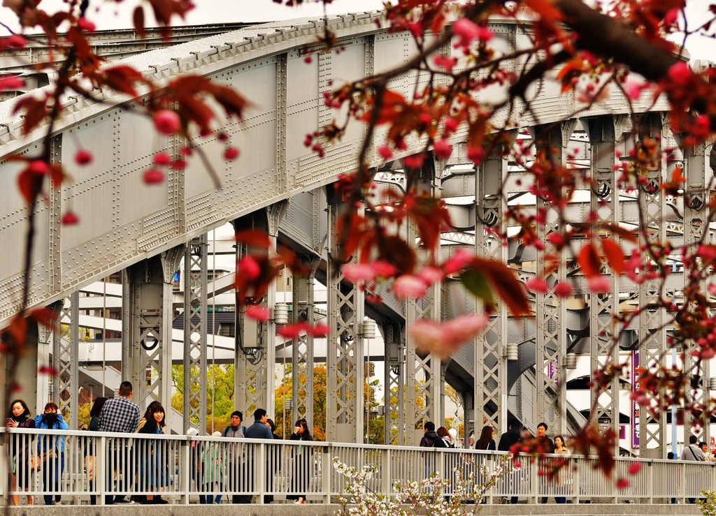 銀橋