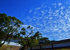 鰯雲
