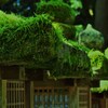 灯籠の苔