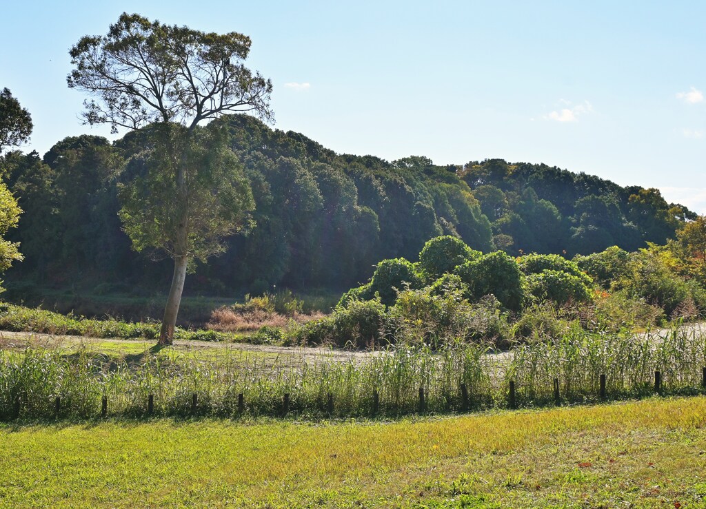 古墳のある公園