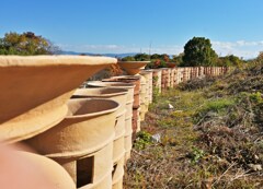 古墳のある公園