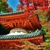 朱塔