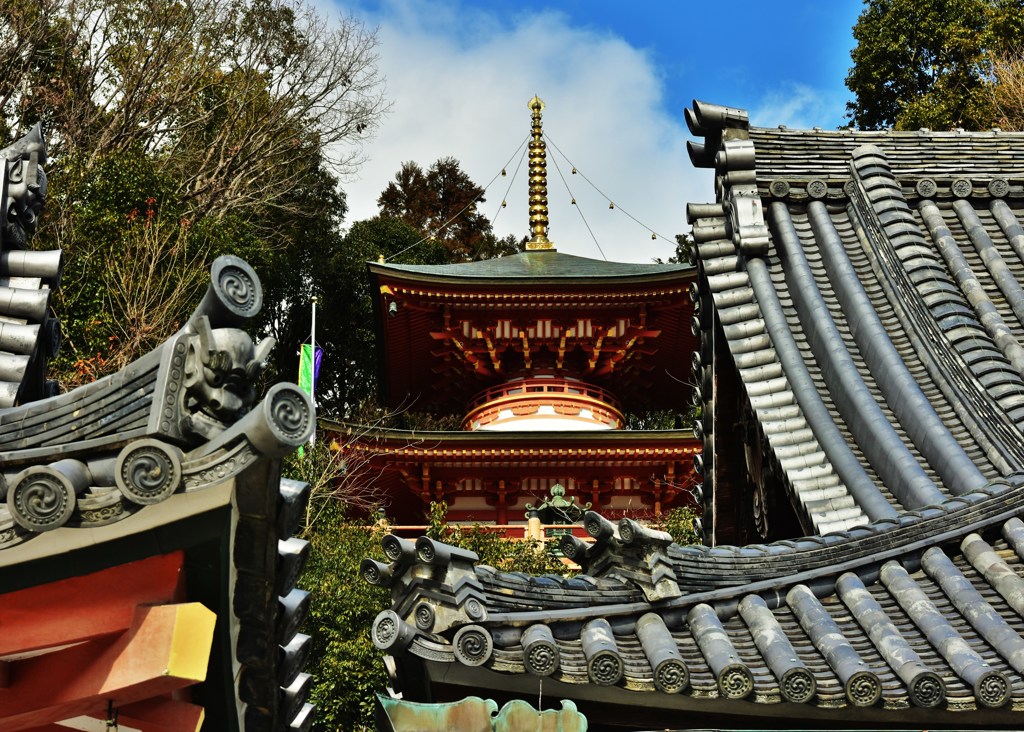 奥建