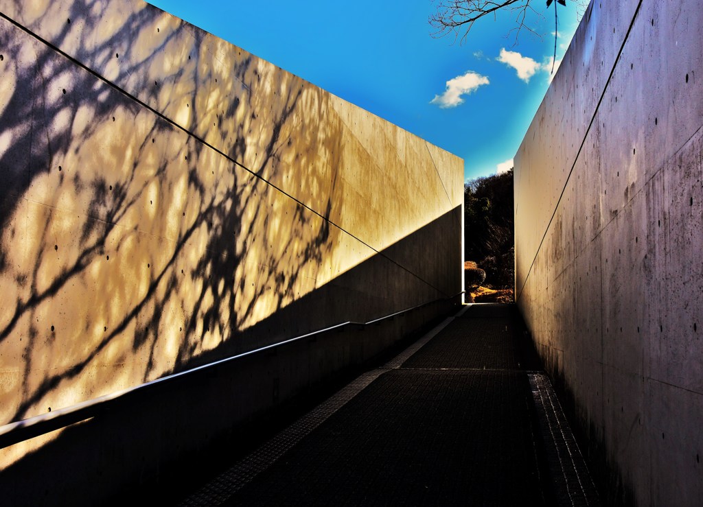 陽路