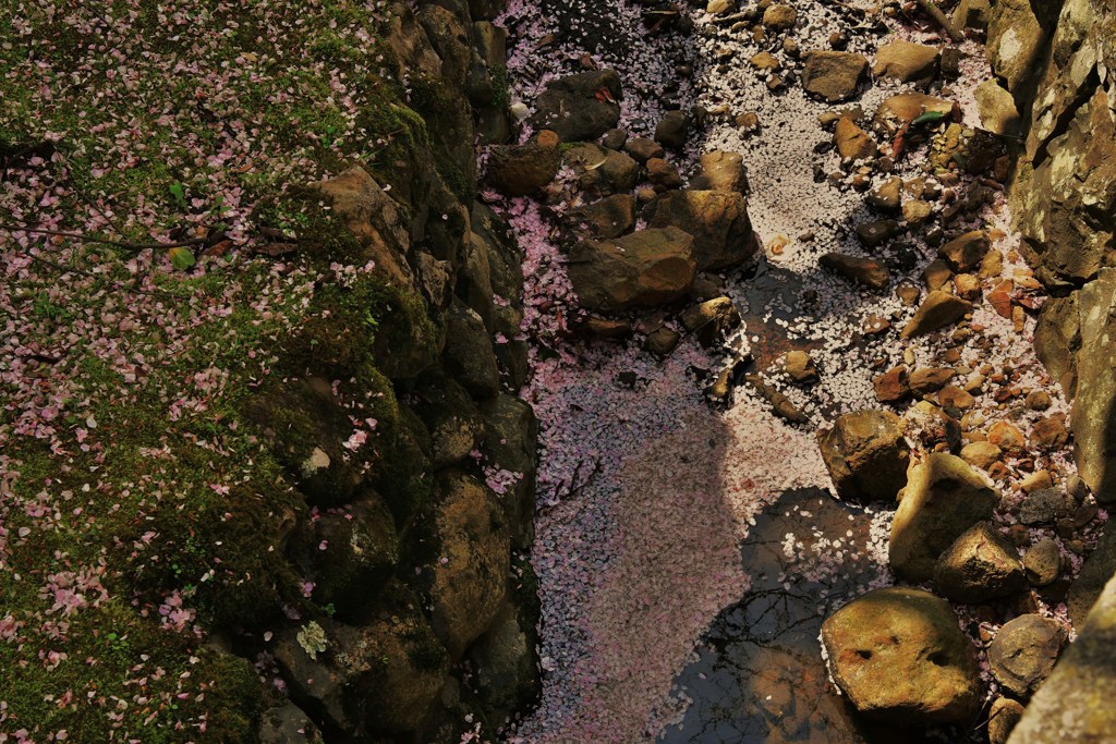 浮映