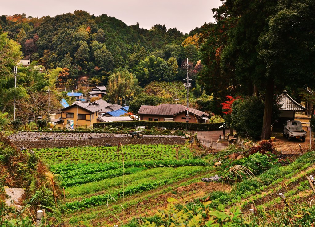 里山