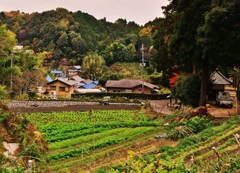 里山