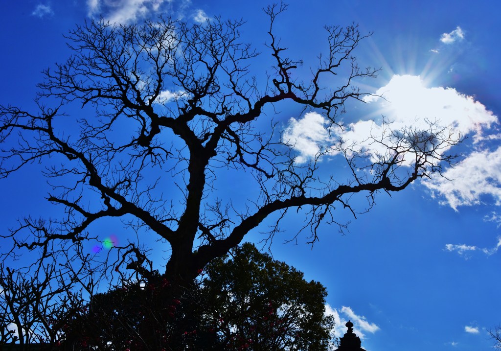 天空
