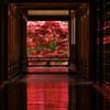 廊照