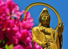見守