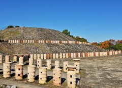古墳のある公園