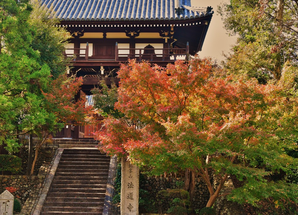 朝紅