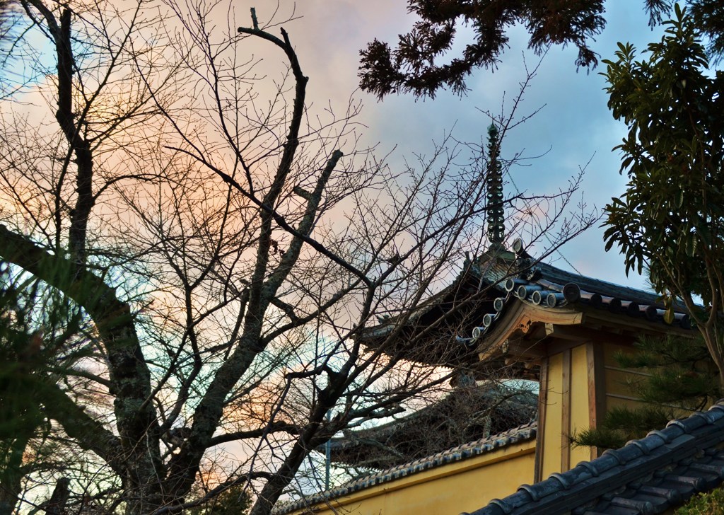 夕映
