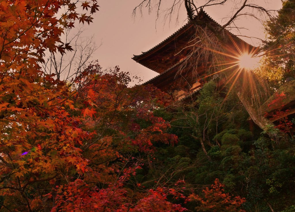 色陽