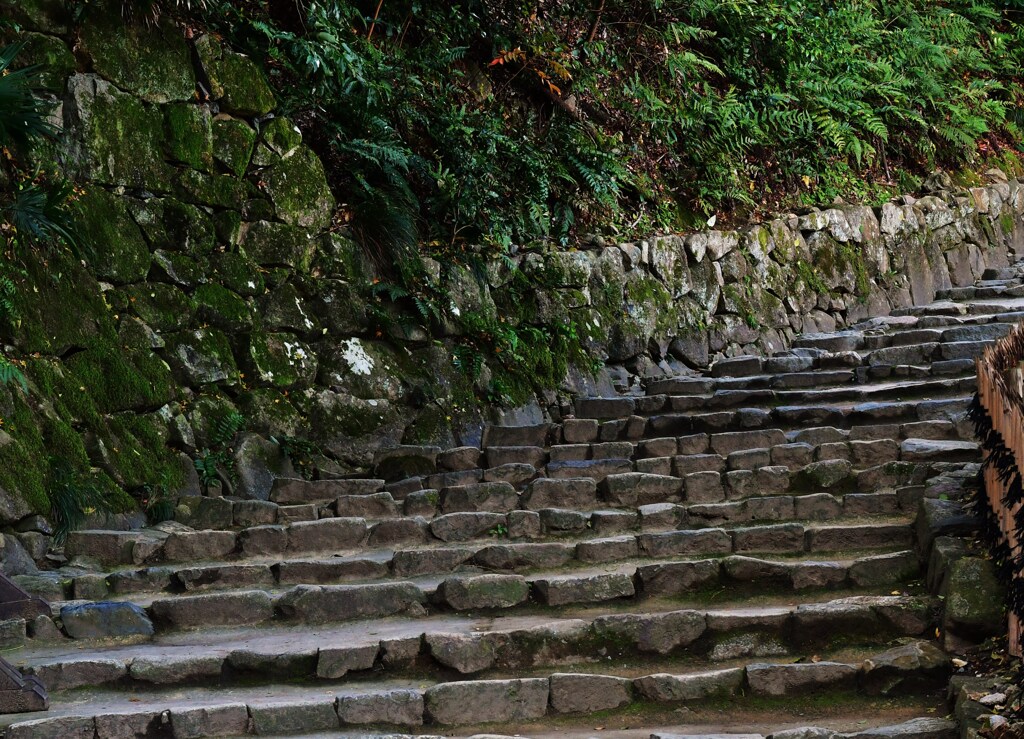 城の階段