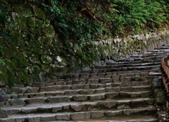 城の階段