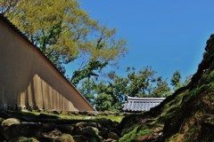 蒼天