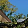 蒼天