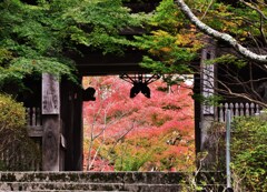 季節をくぐる
