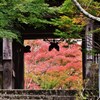 季節をくぐる