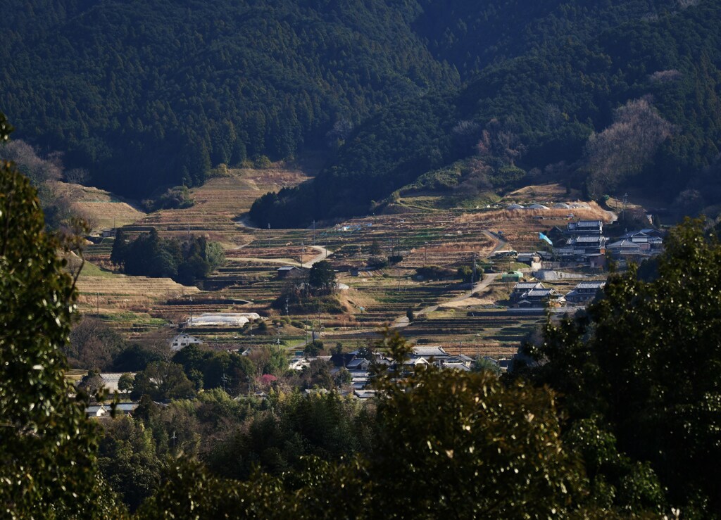 冬の里山