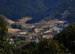 冬の里山