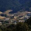 冬の里山