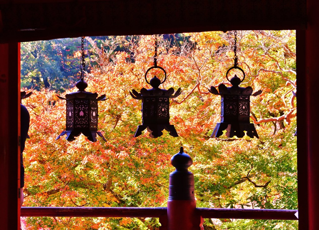 紅影