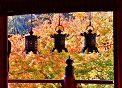 紅影
